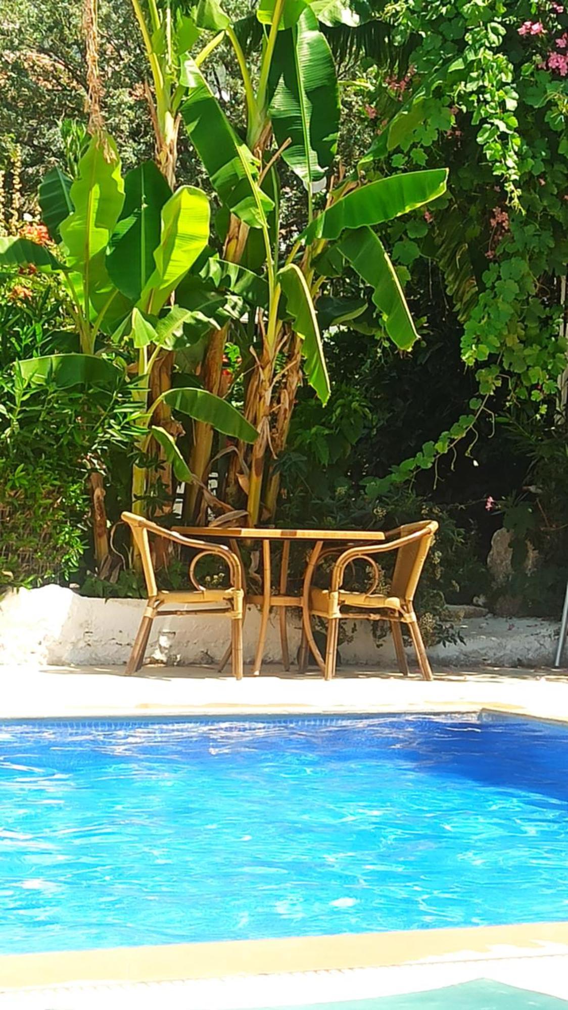 Cc'S Butik Hotel Oludeniz Exterior foto